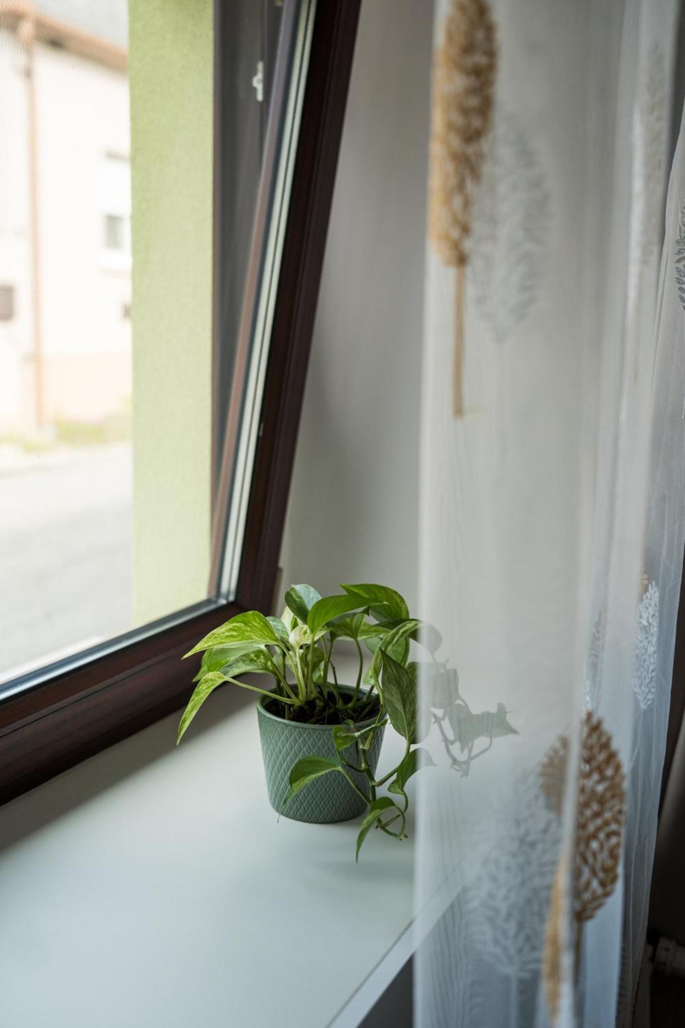Apartamento Csipesz_Vendeghaz Sümeg Exterior foto
